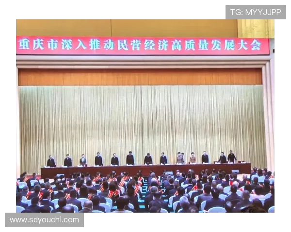 聚焦民营企业家座谈会推动高质量发展与营商环境优化路径探讨新策略